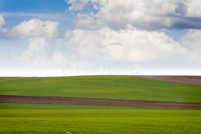 Agriculture field