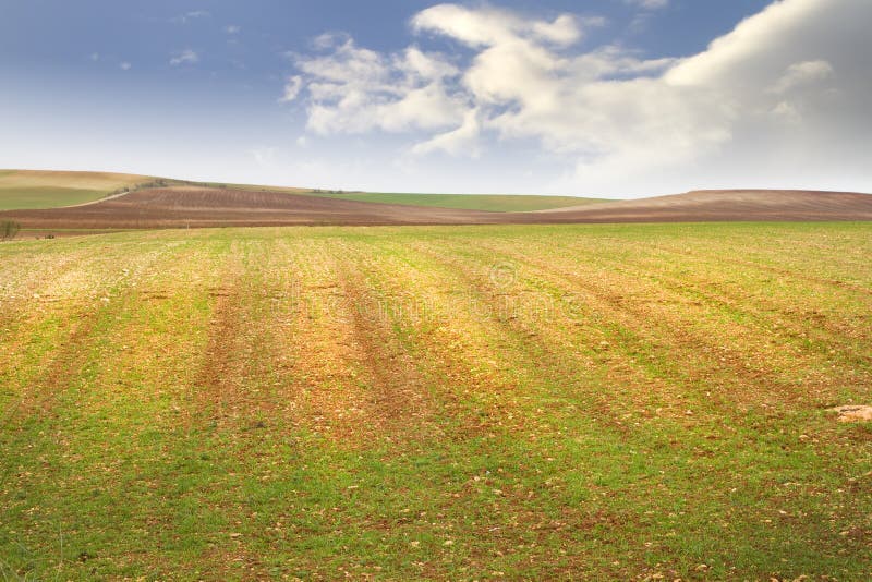 Agriculture field