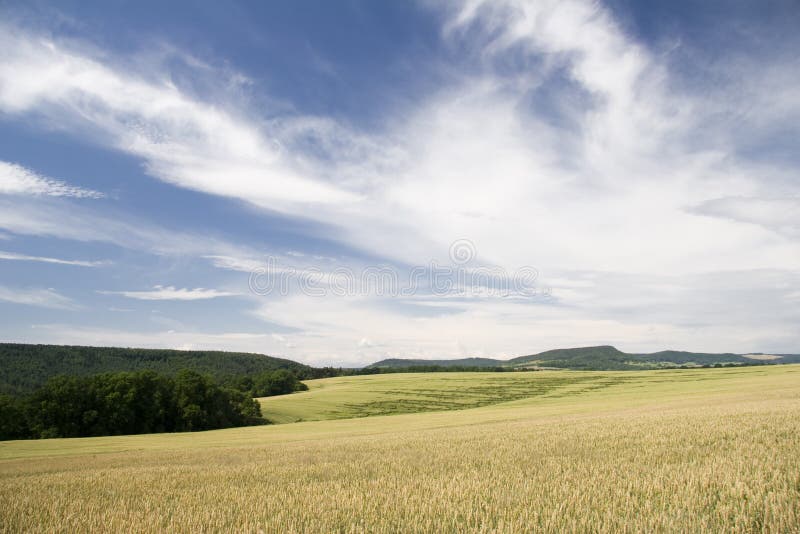 Agriculture Landscape