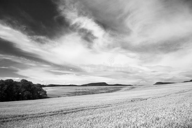 Agriculture Landscape