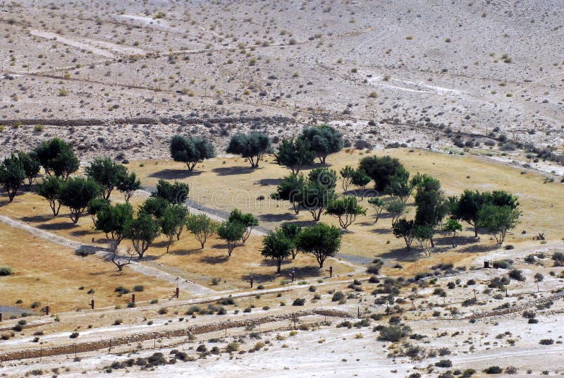 Agriculture in the Negev Desert Stock Image Image of fortress