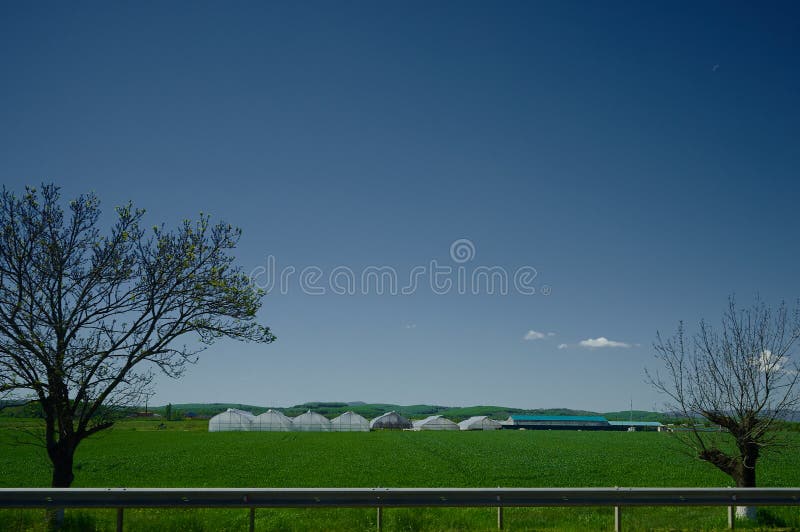 Agriculture in Russia, Rows of Small Greenhouses Covered with Plastic Wrap Stock Image Image