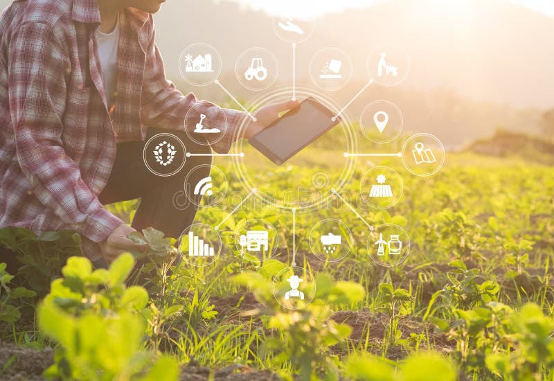 Zemědělství technologie farmář muž pomocí tabletový počítač analýzu dat a vizuální ikona.