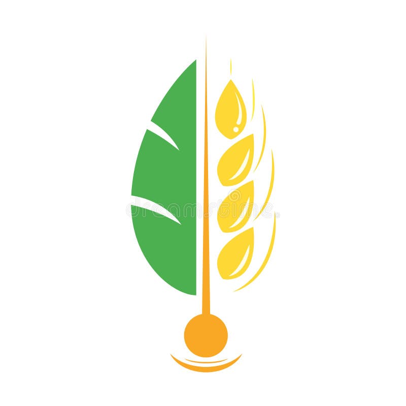 Agriculture Wheat Vector Logo Template Icon Deign