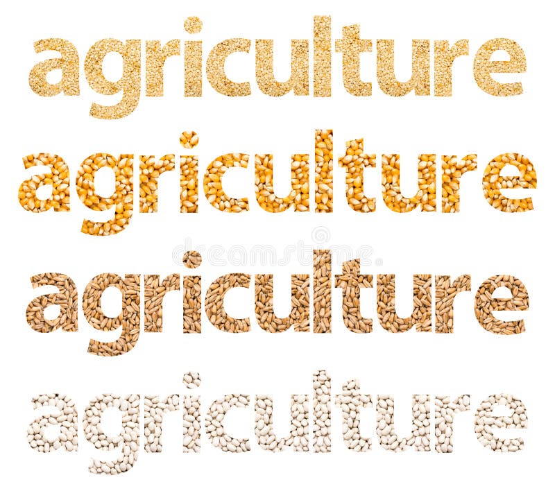 Agriculture Words Abstract Made Of Grains Stock Image Image of