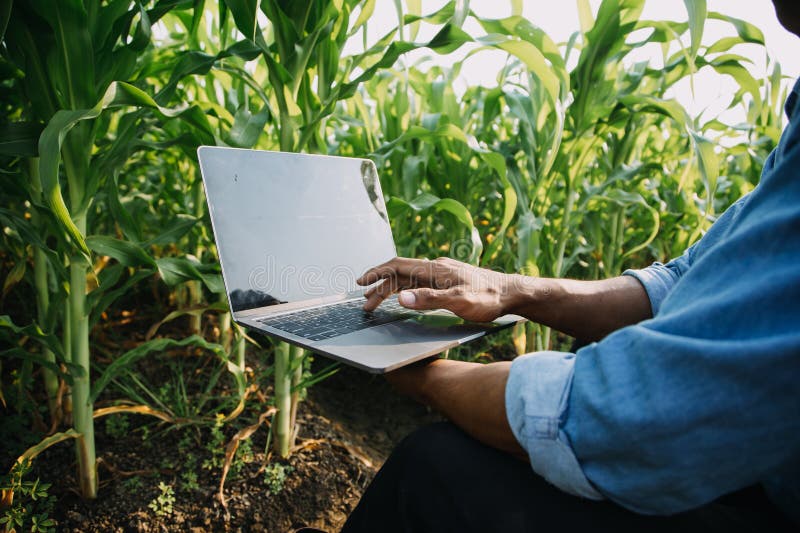 Agriculturist utilize the core data network in the Internet from the mobile to validate, test, and select the new crop method. Young farmers and tobacco farming