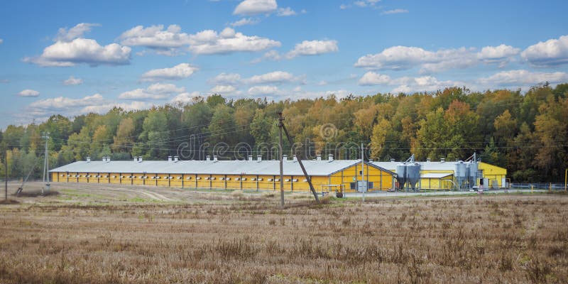 Agro-processing and manufacturing plant for processing and silver silos for drying cleaning and storage of agricultural products royalty free illustration
