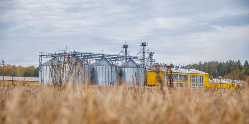 Agro-processing and manufacturing plant for processing and silver silos for drying cleaning and storage of agricultural products stock illustration