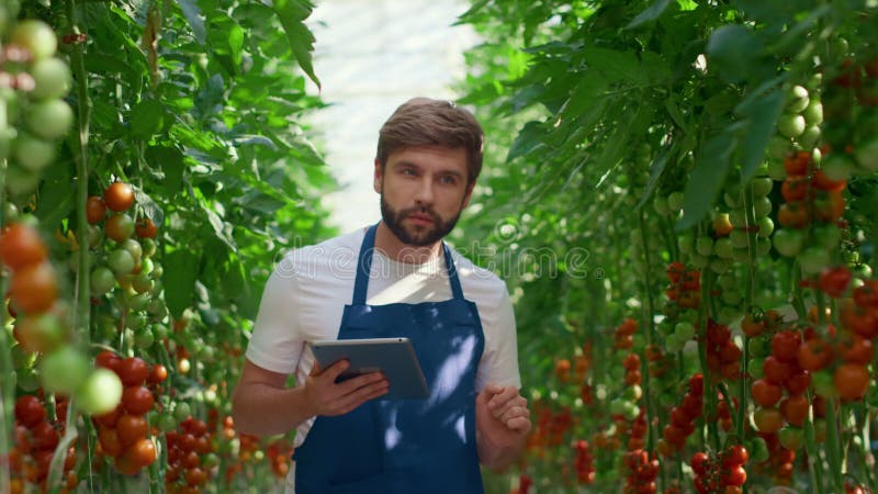 Agronom innovative Tablettenprüfung Tomaten/Paradeiser Wachstum in technologischem Bauernhof