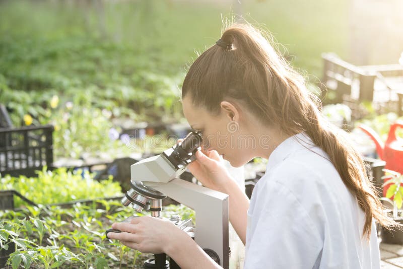 Young pretty woman agronomist in white coat sitting at microscope and supervising seedling`s growth in greenhouse. Plant care and protection concept. Young pretty woman agronomist in white coat sitting at microscope and supervising seedling`s growth in greenhouse. Plant care and protection concept