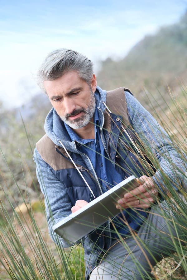 Agronomy Researcher Using Tablet and Analysing Stock Photo Image of