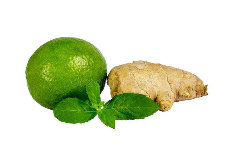 Agrumes d'isolement Chaux, citron et gingembre d'isolement sur le fond blanc photo libre de droits Agrumes d'isolement Chaux, citron et gingembre d'isolement sur le fond blanc photo libre de droits