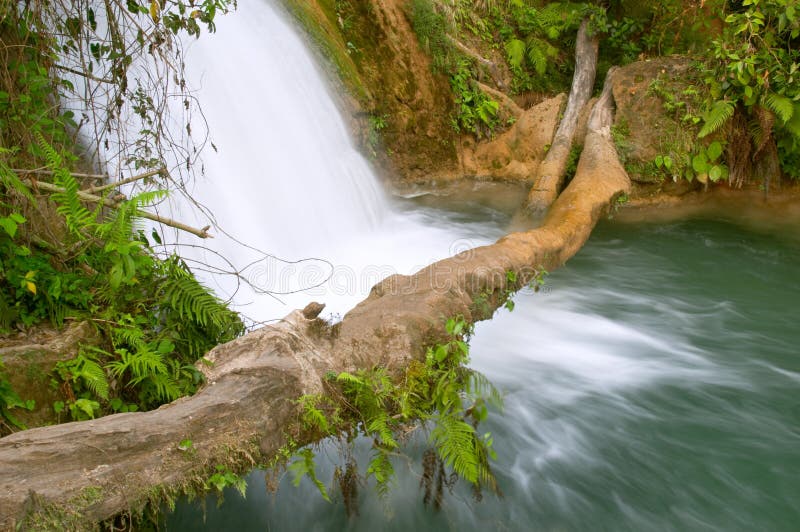 agua azul cascadas de водопад стоковые изображения rf agua azul cascadas de водопад стоковые изображения rf