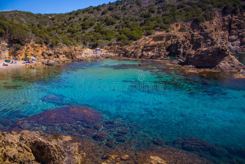 Agua cristalina de la bahía del beatifull de Cerdeña con la roca y el árbol imagen de archivo libre de regalías Agua cristalina de la bahía del beatifull de Cerdeña con la roca y el árbol imagen de archivo libre de regalías