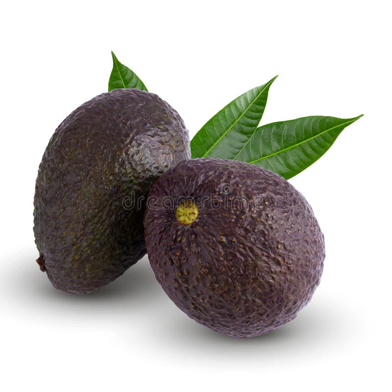 Aguacate Con Hojas Aisladas En Fondo Blanco Foto de archivo Imagen de