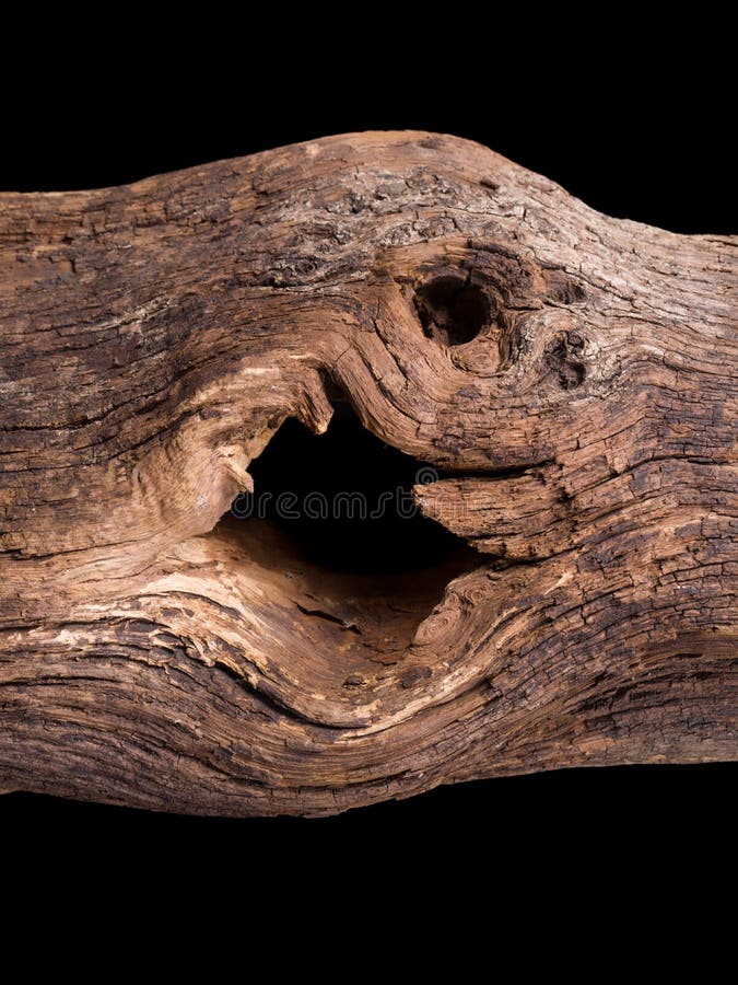 Agujero oscuro en el registro de la madera foto de archivo Agujero oscuro en el registro de la madera foto de archivo
