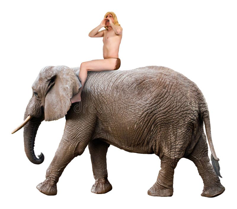 Hurlement de Tarzan, roi de jungle, éléphant de tour d'homme, d'isolement photographie stock Hurlement de Tarzan, roi de jungle, éléphant de tour d'homme, d'isolement photographie stock