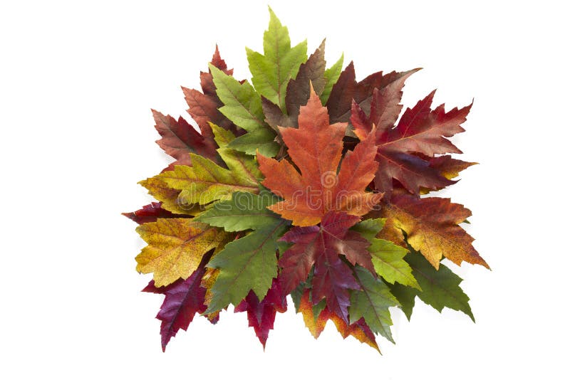 Ahornblätter gemischter Fall-Farben-HerbstWreath lizenzfreie stockfotografie Ahornblätter gemischter Fall-Farben-HerbstWreath lizenzfreie stockfotografie