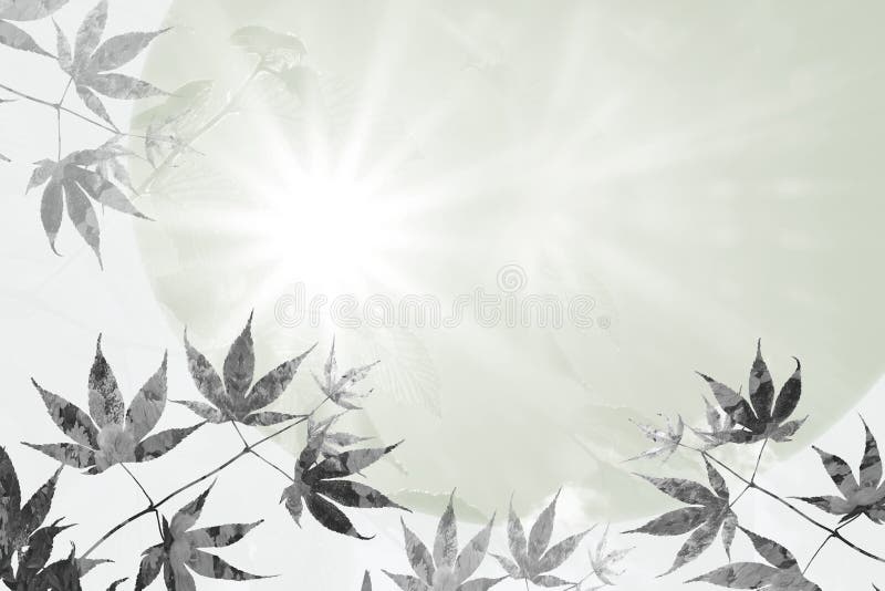 Ahornblätter und Hoffnungsschimmer, Sympathiehintergrunddesign stockbild Ahornblätter und Hoffnungsschimmer, Sympathiehintergrunddesign stockbild