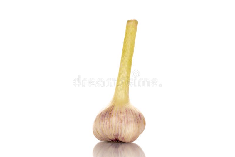 Ail jeune parfumé avec ustensiles de cuisine isolés sur fond noir blanc et vue supérieure macro. photographie stock libre de droits