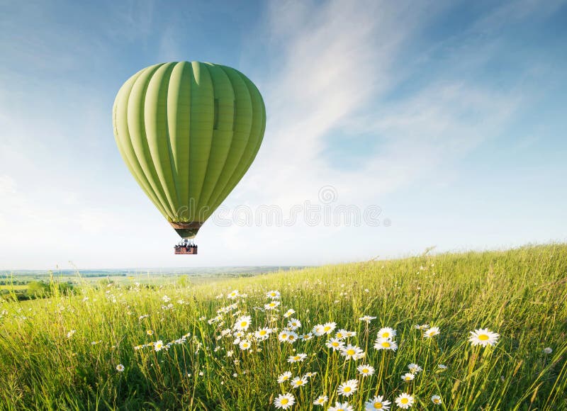 Air ballon above field with flowers at the summer time