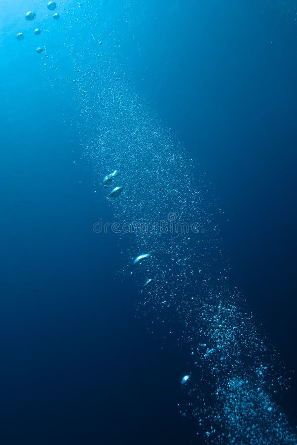 Underwater view of air bubbles heading towards the water surface. Near Garden, Sharm el Sheikh, Red Sea, Egypt.