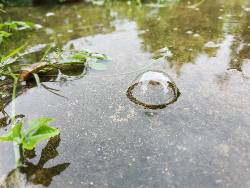 Air Bubbles on the Surface of the Road when it Rain. Stock Image