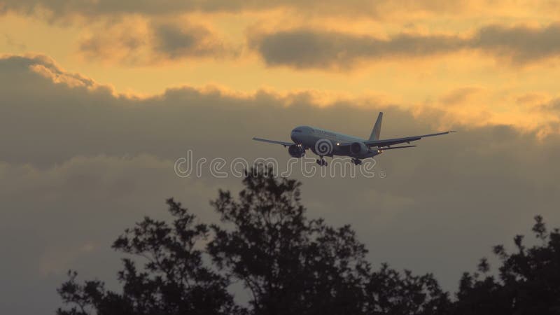 Air Canada Boeing 777 som att närma sig på gryningen lager videofilmer
