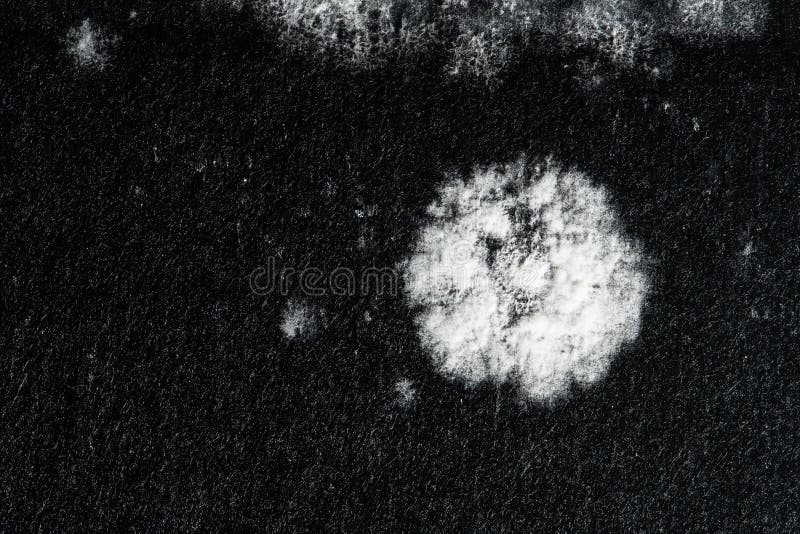 Air Filter Covered by White Mold Stock Photo Image of ventilation