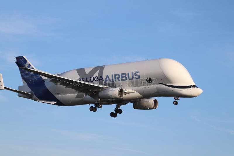 O avião Beluga XL não é usado para passageiros, mas para