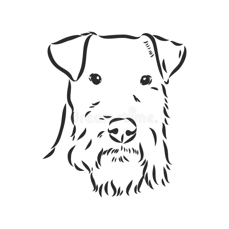 Airedale skräckdog. handdragen. vektorillustration stock illustrationer