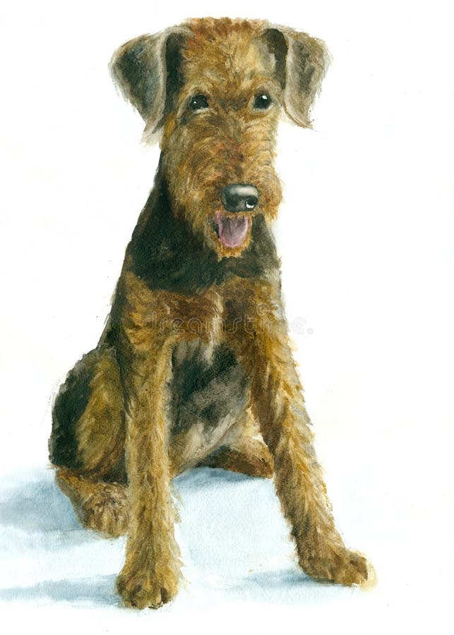 Airedaleterriervalp royaltyfri illustrationer