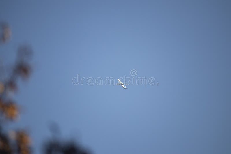 AN airplane is flying from east to west. The sky is perfectly blue. A airplane is flying from east to west. The sky is perfectly blue royalty free stock image AN airplane is flying from east to west. The sky is perfectly blue. A airplane is flying from east to west. The sky is perfectly blue royalty free stock image