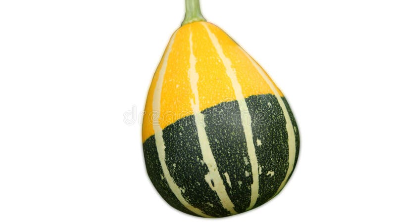Aislado del primer del verde amarillo del melón de Tailandia en el backgro blanco foto de archivo Aislado del primer del verde amarillo del melón de Tailandia en el backgro blanco foto de archivo