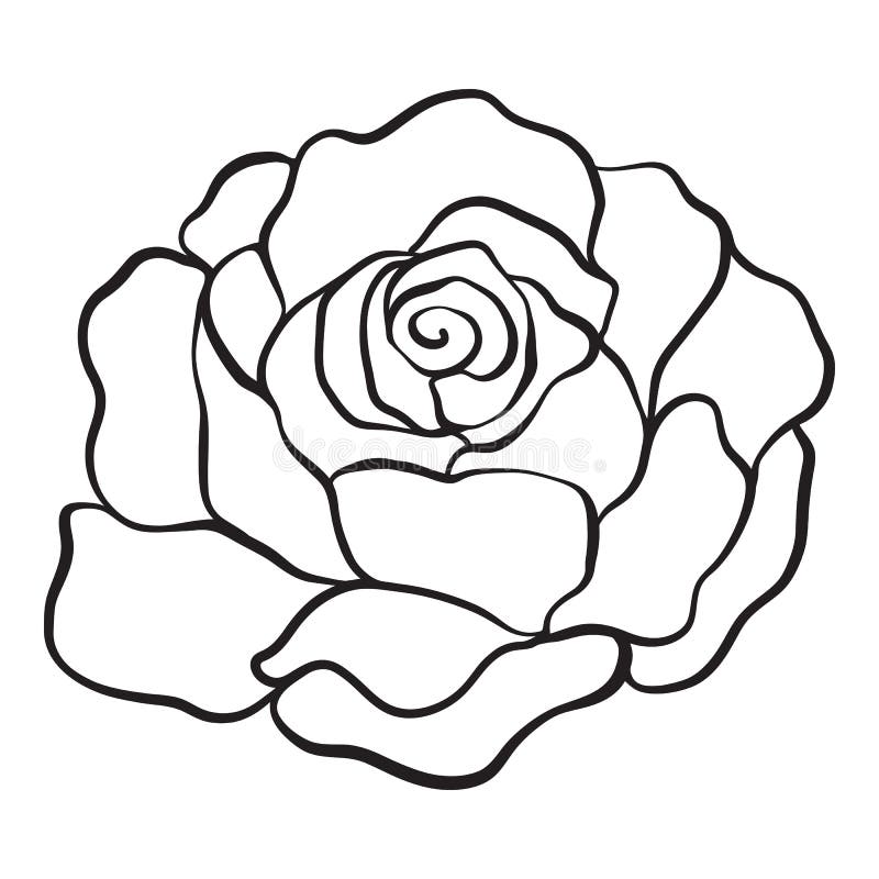 Rosa aislada. Dibujo de contorno. Ilustración vectorial de stock stock de ilustración