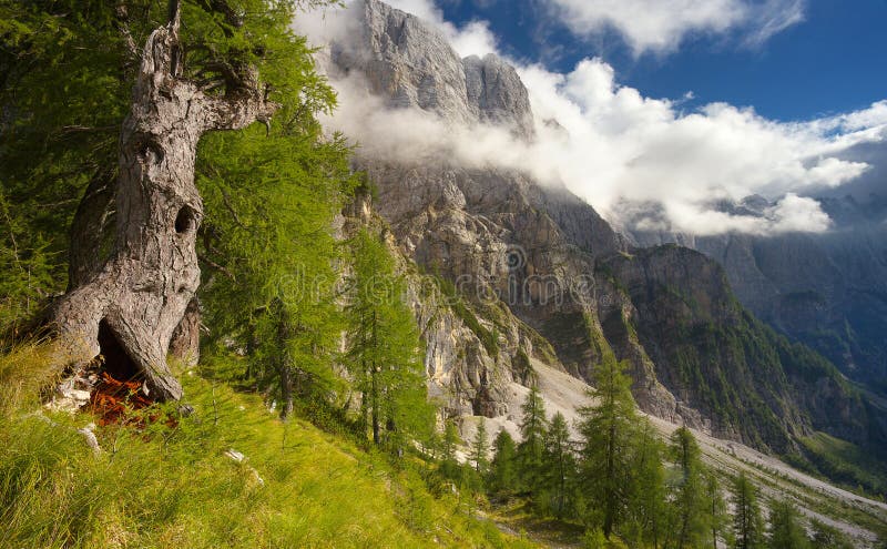 Ajardine bajo pico de Moistrovka, parque nacional de Triglav, Eslovenia imagen de archivo libre de regalías Ajardine bajo pico de Moistrovka, parque nacional de Triglav, Eslovenia imagen de archivo libre de regalías