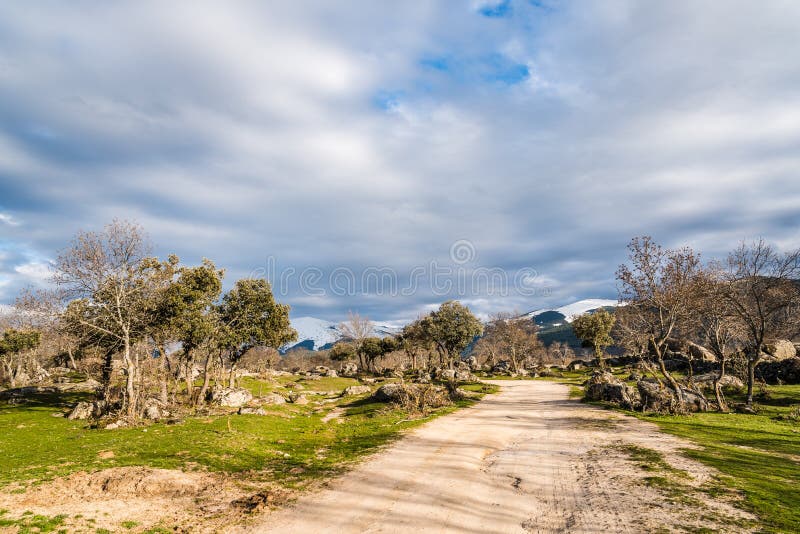 Ajardine con la hierba verde, las rocas y el camino. Ajardine con la hierba verde, los árboles, las rocas y la cordillera capsulada nieve contra el cielo azul con las nubes camino y nubes del blanco