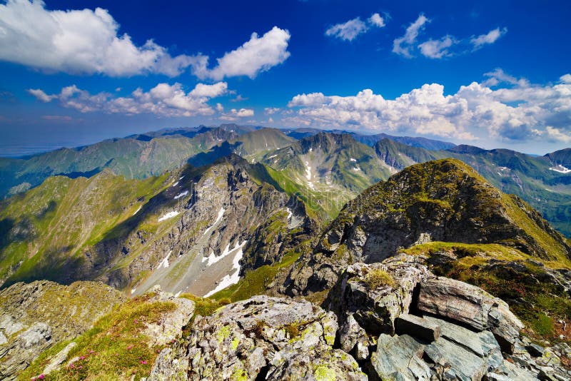 Ajardine con las montañas de Fagaras en Rumania imagen de archivo libre de regalías Ajardine con las montañas de Fagaras en Rumania imagen de archivo libre de regalías