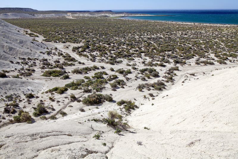Ajardine de la colina cerca de Puerto Madryn, una ciudad en la provincia de Chubut, Patagonia, la Argentina foto de archivo libre de regalías Ajardine de la colina cerca de Puerto Madryn, una ciudad en la provincia de Chubut, Patagonia, la Argentina foto de archivo libre de regalías