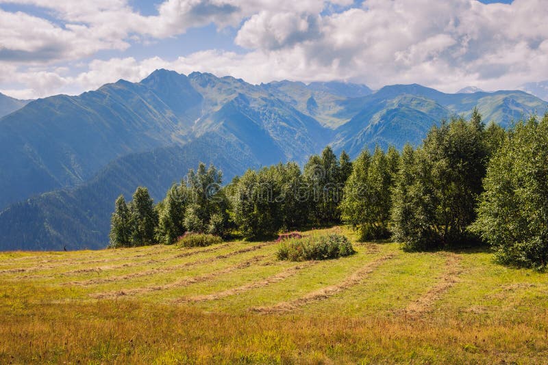 Ajardine la vista de las montañas y de los prados del Cáucaso en Svaneti, Georgia