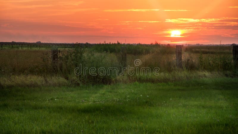Ajardine, puesta del sol soleada hermosa en un campo imagen de archivo Ajardine, puesta del sol soleada hermosa en un campo imagen de archivo