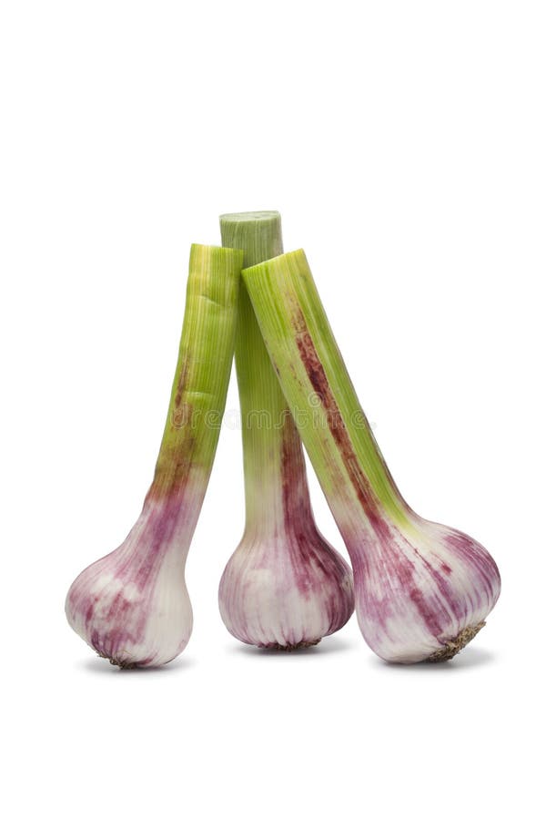 Vendedor francés del ajo imagen de archivo. Imagen de azul 28107301