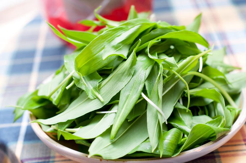 Ajo salvaje, ramsons en la tabla de madera foto de archivo libre de regalías Ajo salvaje, ramsons en la tabla de madera foto de archivo libre de regalías
