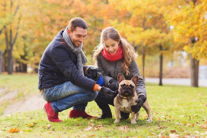Ajouter de sourire au chien en parc d'automne image libre de droits