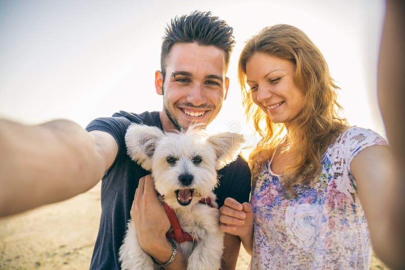 Ajouter heureux au chien photo stock