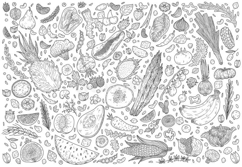 Ajustado com a m?o tirada rabiscar frutas e legumes Grupo liso dos ícones: cebola, tomate, maçã, abacaxi, beterraba, limão, pera ilustração do vetor Ajustado com a m?o tirada rabiscar frutas e legumes Grupo liso dos ícones: cebola, tomate, maçã, abacaxi, beterraba, limão, pera ilustração do vetor