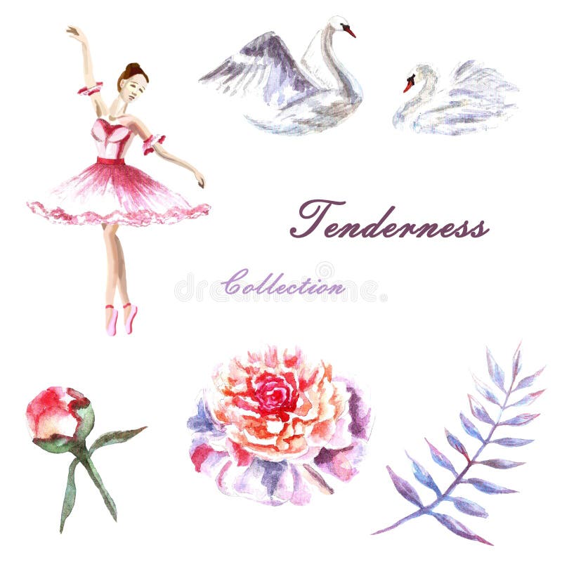 Ajuste da bailarina pintado à mão da aquarela, cisnes, peônias, galho ilustração stock Ajuste da bailarina pintado à mão da aquarela, cisnes, peônias, galho ilustração stock