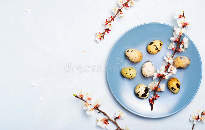 Ajuste da tabela da P?scoa com ovos e ramos de codorniz na flor, fundo dos feriados da mola fotografia de stock Ajuste da tabela da P?scoa com ovos e ramos de codorniz na flor, fundo dos feriados da mola fotografia de stock
