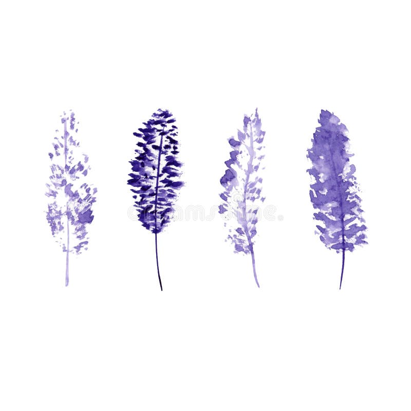 Ajuste de quatro penas da aquarela da cor ilustração stock Ajuste de quatro penas da aquarela da cor ilustração stock