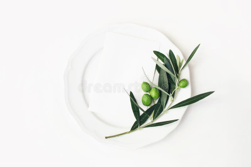 Ajuste festivo del verano de la tabla con las hojas, la rama y la fruta verdes olivas en la placa de la porcelana Escena en blanc foto de archivo libre de regalías Ajuste festivo del verano de la tabla con las hojas, la rama y la fruta verdes olivas en la placa de la porcelana Escena en blanc foto de archivo libre de regalías